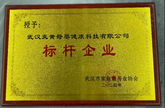 标杆企业（武汉市家庭服务业协会）